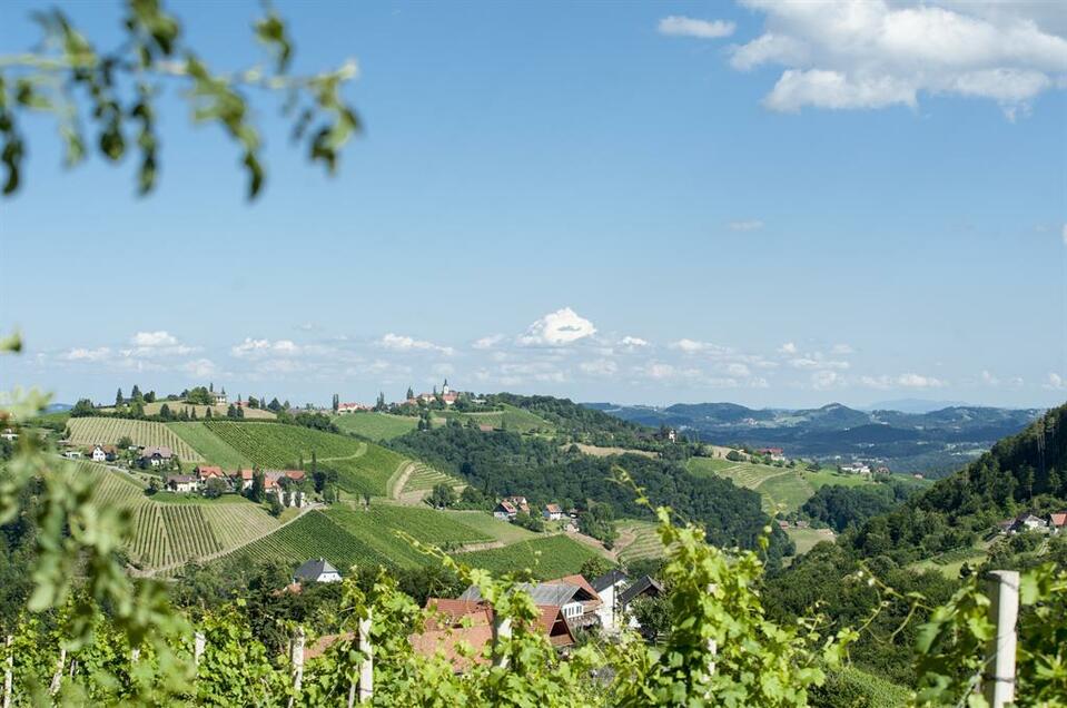 Weingut Schauer - Impression #1 | © Karin Bergmann