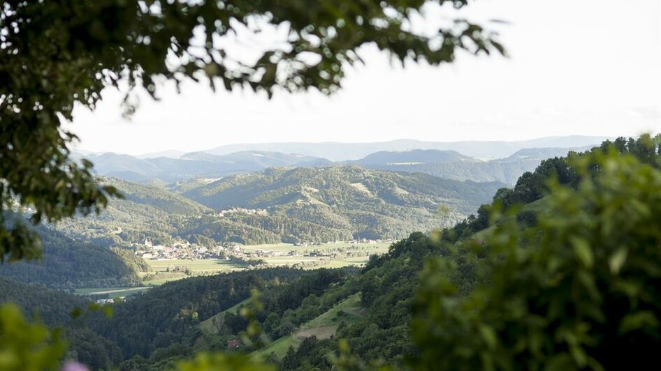 Aussicht vom Sitzgarten | © Karin Bergamann