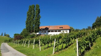 Lindenburg | © Weingut Lindenburg | Gertraud Stelzl