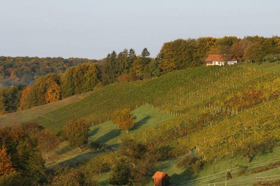 Weinhof & Buschenschank Hartinger - Impression #1 | © Familie Hartinger