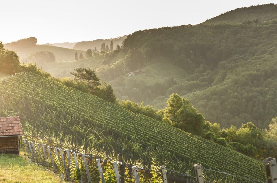 Weinhof Oswald - Impression #1 | © Christian Karnicar