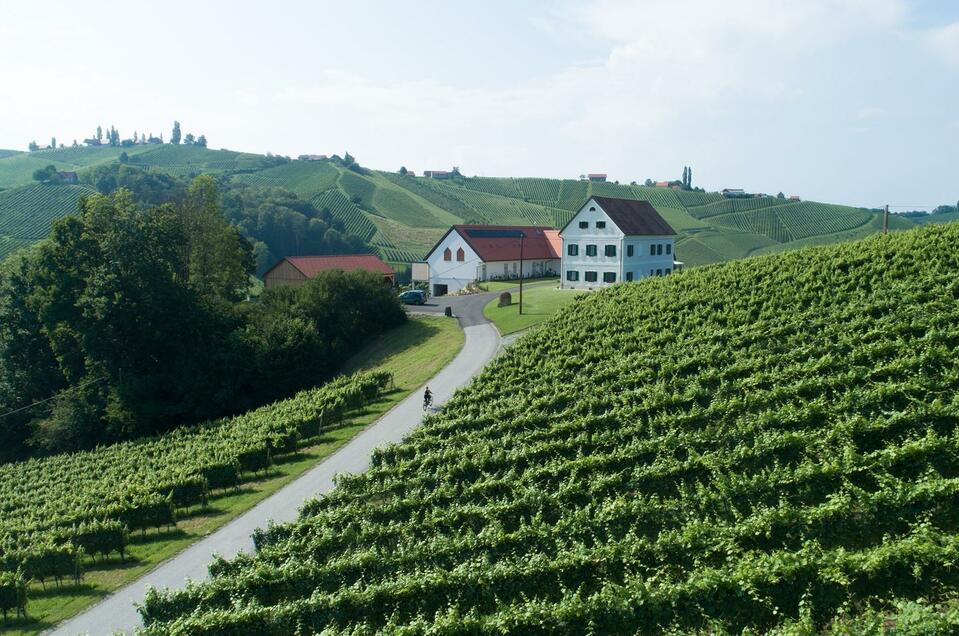 Weinschmiede Tscherne-Strauss - Impression #1 | © Weinschmiede Strauss