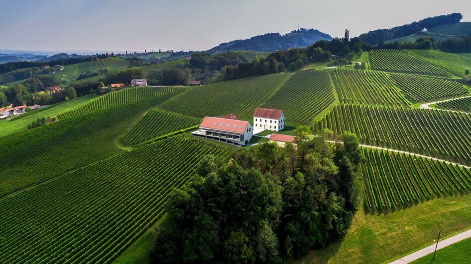 Weinschmiede Strauss Weingarten | © Weinschmiede Strauss