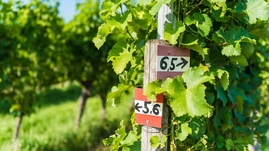 Weinschmiede Wanderung | © Weinschmiede Strauss