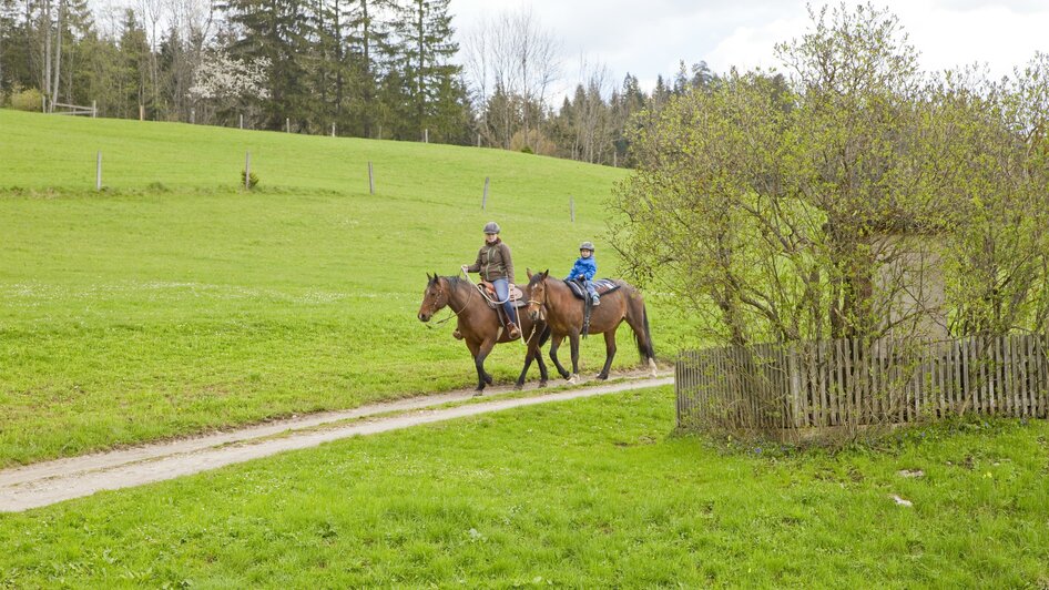 Westernreiten beim Lasingerhof | © Lasingerhof