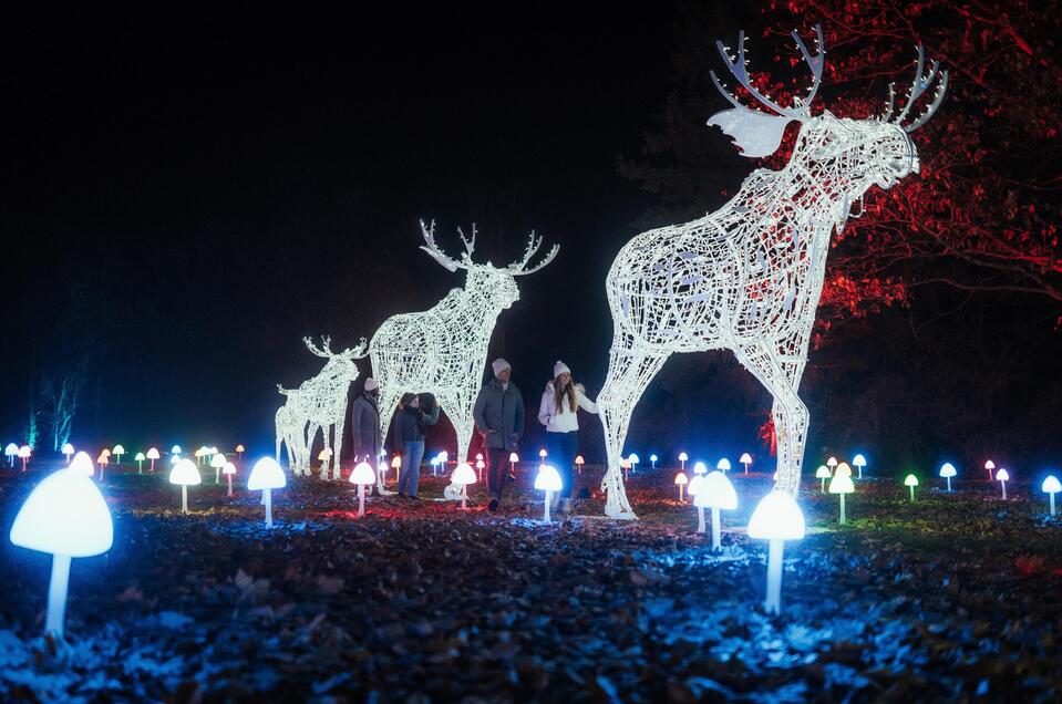 LUMAGICA Lichterpark Frohnleiten – leuchtende Elch | © Region Graz-studio draussen