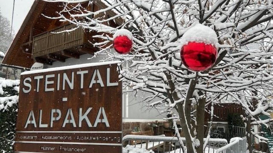 Winter bei Steintal Alpaka | © @by Steintal Alpaka