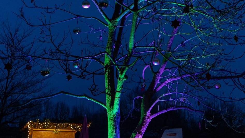 Baum Lichterstimmung | © Juliane Ketschler