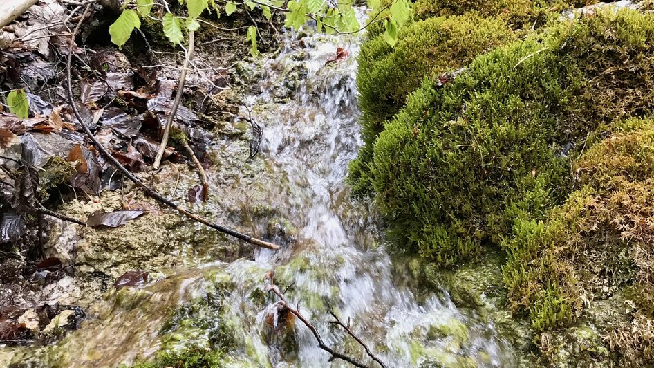 Gewässer | © Sabine Schulz