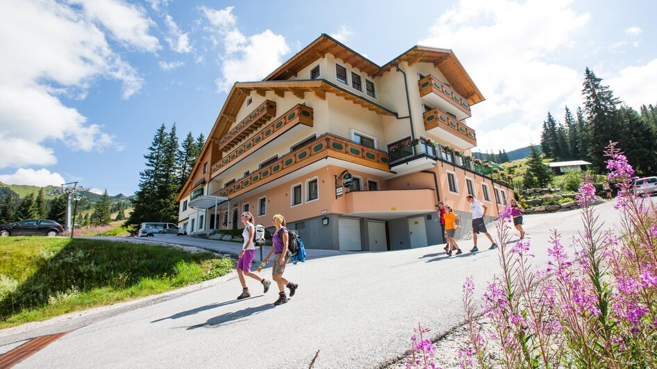 Grimmingblick Planneralm Sommer