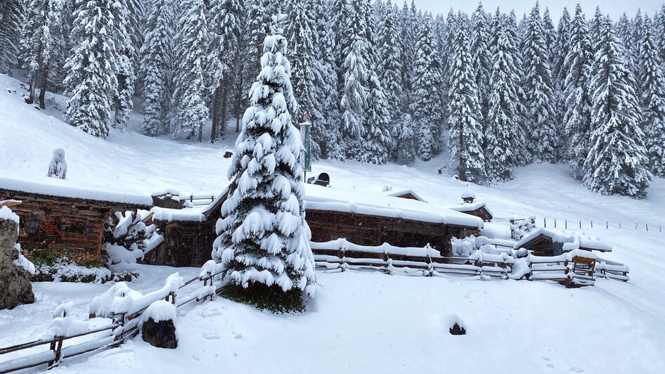 Lärchbodenalm mit Schnee | © Lärchbodenalm