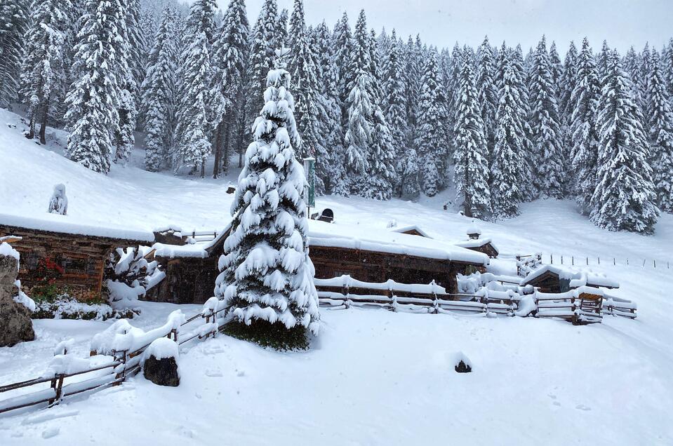 Lärchbodenalm - Impression #1 | © Lärchbodenalm