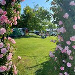 Photo of Camp site, shower or bath, toilet | © Ölspur Camping