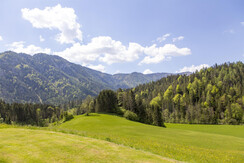 Serena Waldlandschaft