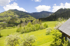 Susi Außenansicht in die Natur