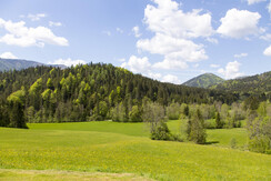Stupsi Blick in die Natur