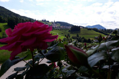 Ausblick zur Basilika Mariazell