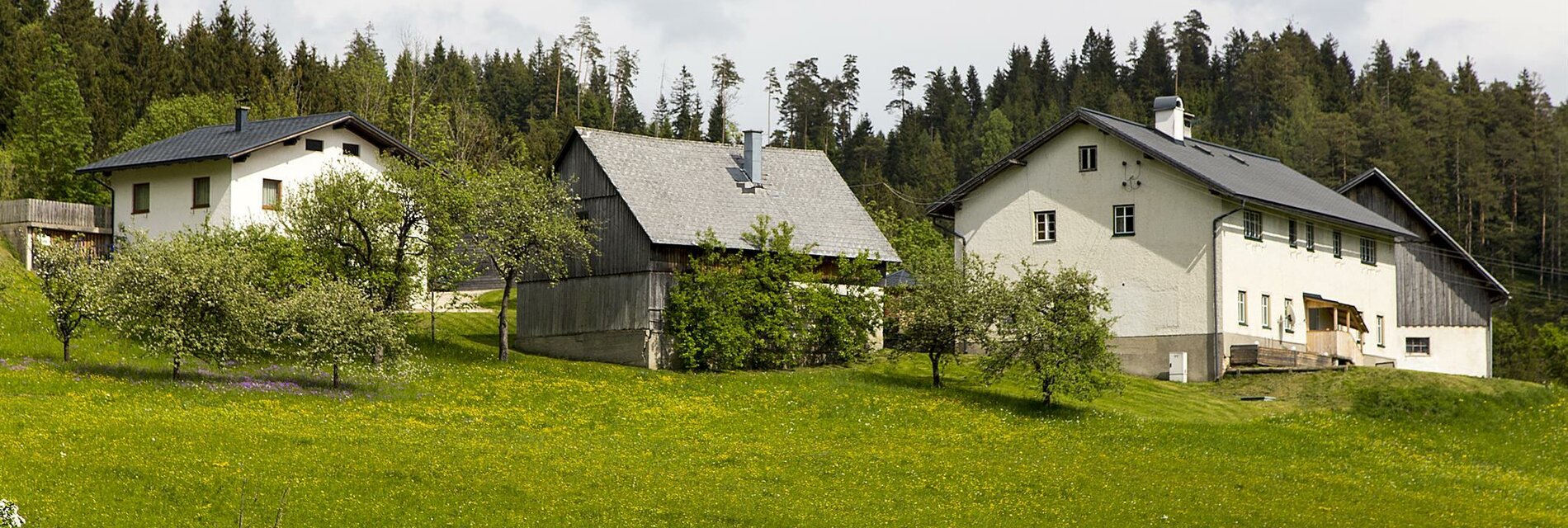 Lasingerhof