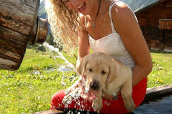 Ihr_vierbeiniger_Freund_ist_auf_Anfrage_willkommen