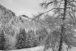 Blick aus Schlafzimmer