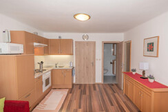 House Adlmannseder, Grundlsee, kitchen