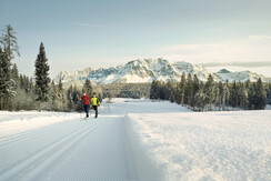 Langlauf-Mainshot_3000x1688©Peter Burgstaller