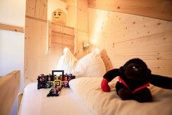AlmdorfHohentauernbyAlpsResorts-Haus 14-Murtal