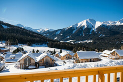 AlmdorfHohentauernbyAlpsResorts-Haus 58-Murtal