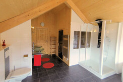 AlmdorfHohentauernbyAlpsResorts-Haus 18-Murtal