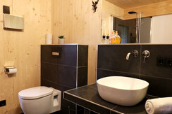 AlmdorfHohentauernbyAlpsResorts-Haus 47-Murtal