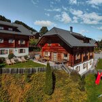 Bild von Almhütte "Dachstein"