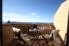 Almdorf_Tonnerhuette_AppKohlrösserlBalkon1_(C)Almd