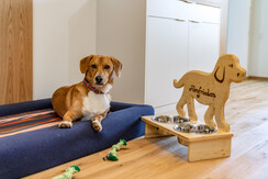 panoramaappartement_almfrieden_1-22