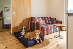 panoramaappartement_almfrieden_1-17