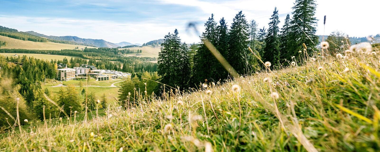 Außenansicht (c) Almwellness Hotel Pierer - Harald