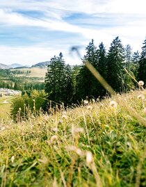 Außenansicht (c) Almwellness Hotel Pierer - Harald