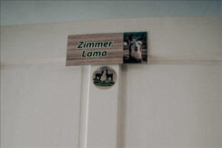Zimmer Lama