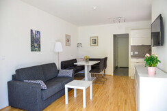 Alpine Ulla 3_Bad Mitterndorf_Wohnbereich