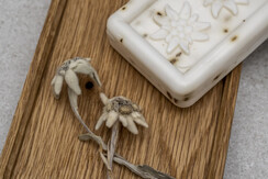 3_JM_15032021_Dachsteinperle_0717