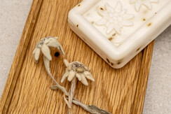 7_JM_15032021_Dachsteinperle_0717