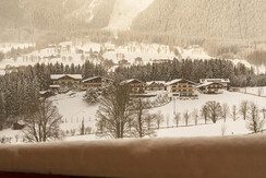 5_JM_15032021_Dachsteinperle_0719