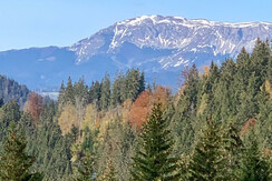 Blick auf die Hohe Veitsch, Ausblick von den Zimme