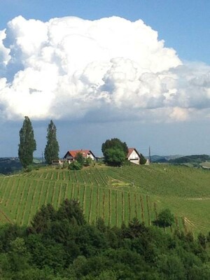 Altes Herrenhaus Ausblick | © Altes Herrenhaus | Adelheid Moretti