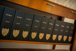 Irka_07-20_Restaurant_Katzen_72dpi_014