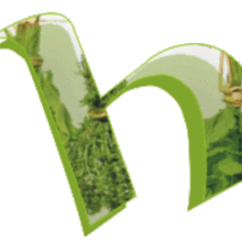 h vom logo Kopie