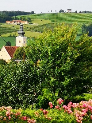 Der Blick von der Unterkunft über die Umgebung