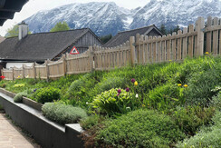 Apartment Sara, Bad Mitterndorf, garden