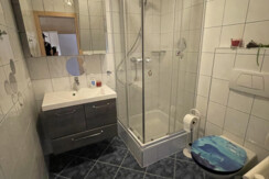 ApartmentSchlager-Dusche-Murtal-Steiermark