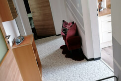 IMG_20220904_102304_resized_20220930_114338707