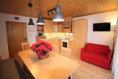 Appartement Mama - Küche - Blick-Hauserkaibling4